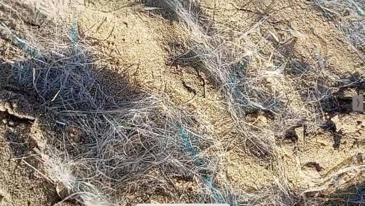 PESCARA: BARBA (AVS), “SI DISCUTA MIA MOZIONE PER UTILIZZO MATERIALI ECOCOMATIBILI IN SPIAGGIA”