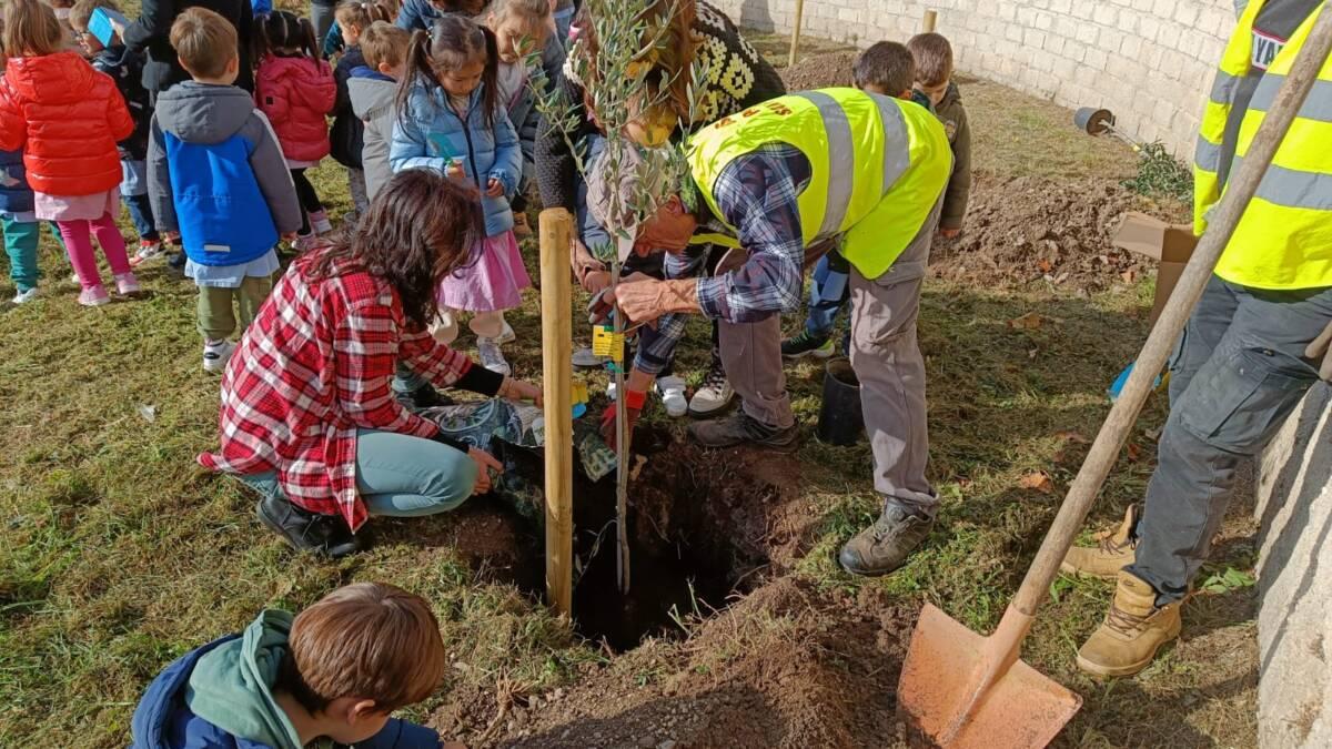 L’ALBERO DAI MILLE COLORI: IN SCUOLA INFANZIA PAGANICA INAUGURATO MURALE E PIANTATI TRE ULIVI