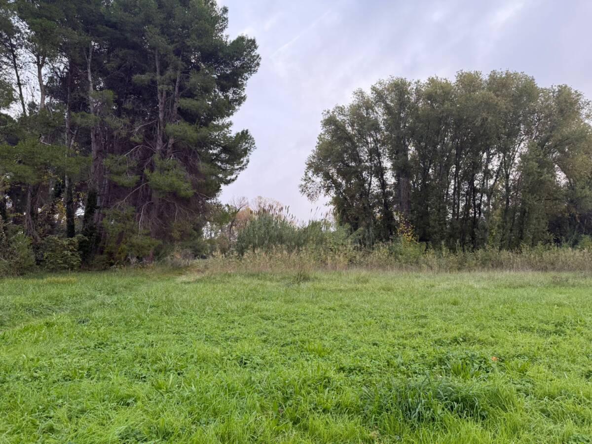 PESCARA: FIRMATO IN COMUNE IL CONTRATTO PER IL PARCO NORD, “NASCE NUOVA AREA VERDE PER LA CITTA'”