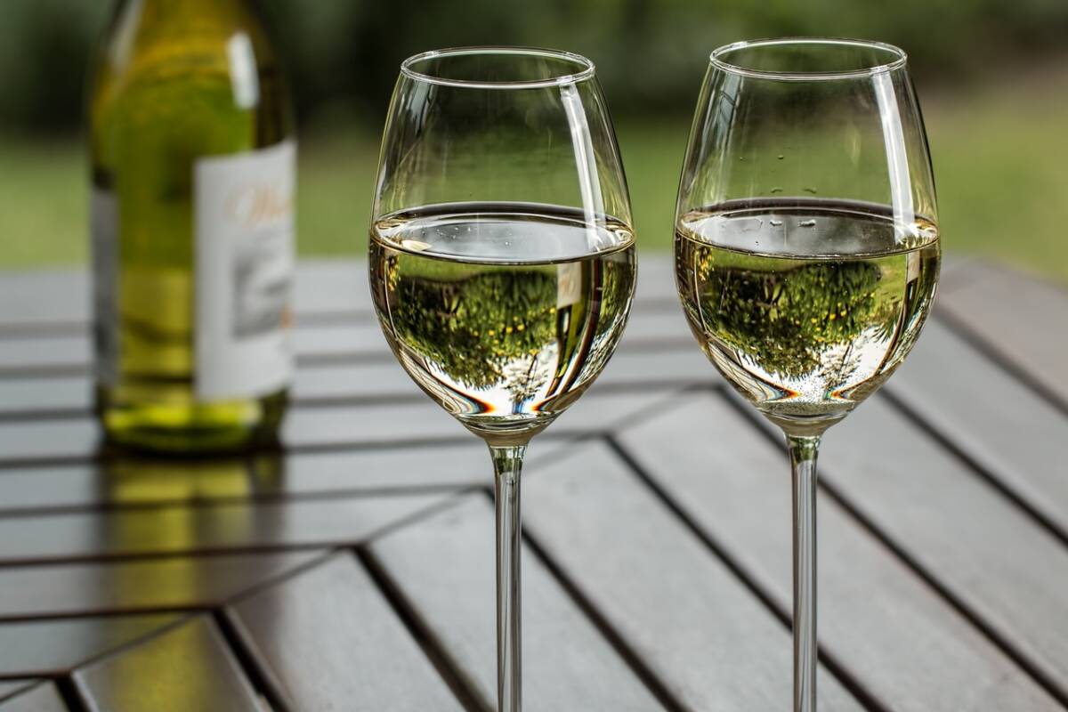 LE ULTIME NOVITÀ NEL SETTORE VINICOLO