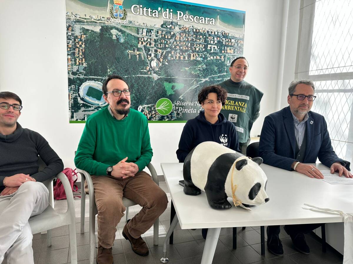 WWF TRACCIA BILANCIO 2024: “UN ANNO DIFFICILE CON MINACCE AD AREE PROTETTE E A FAUNA SELVATICA”