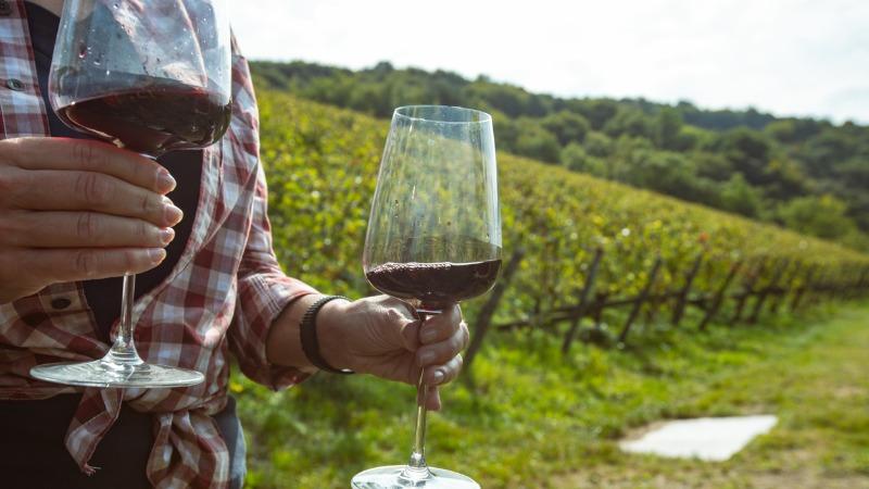 CODICE STRADA: ROSSI SCRIVE A SALVINI, “PER AGRICOLTORI GIORNATA INIZIA CON DUE BICCHIERI DI VINO”