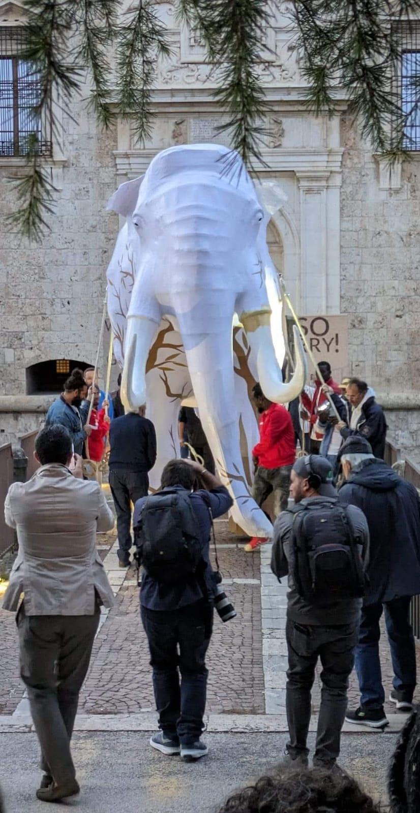 TERRE SONANTI: AL MAXXI L’AQUILA BILANCIO VIAGGIO MAMMUT CON DOCUMENTARIO E MOSTRA LIBRI D’ARTE