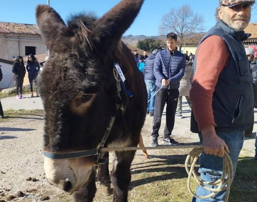 L’AQUILA: A PAGANICA FESTA DI SANT’ANTONIO ABATE CON BENEDIZIONE DEGLI ANIMALI