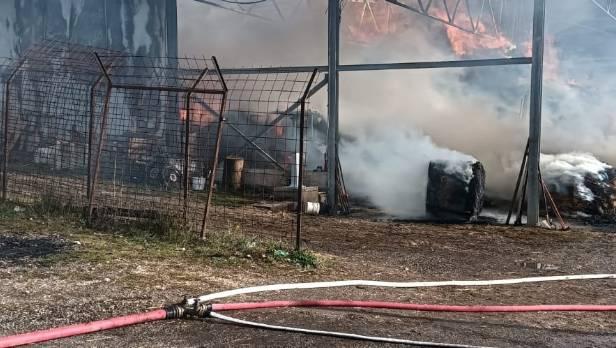 ROGO IN AZIENDA AGRICOLA DI MASSA D’ALBE: 63ENNE MUORE DOPO 10 GIORNI