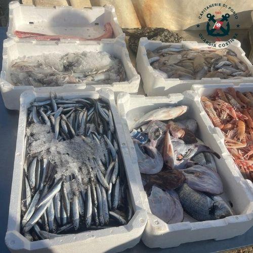 GIULIANOVA: SEQUESTRATI DALL’UFFICIO MARITTIMO 352 KG DI PRODOTTI ITTICI PESCATI IN MODO ILLEGALE