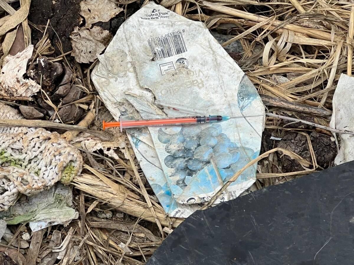 “STANZE DELLA DROGA, BIVACCHI, RIFIUTI E DEGRADO”: PETTINARI, “ECCO L’INFERNO DI RANCITELLI”