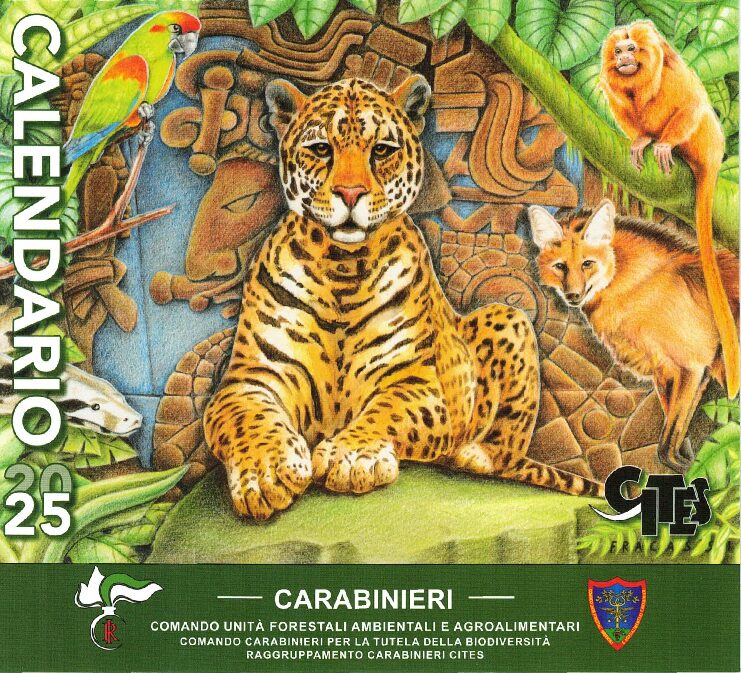 TUTELA PARCHI ABRUZZO E MOLISE: MILLE DENUNCE E MULTE PER UN MILIONE E MEZZO FATTE DAI CARABINIERI