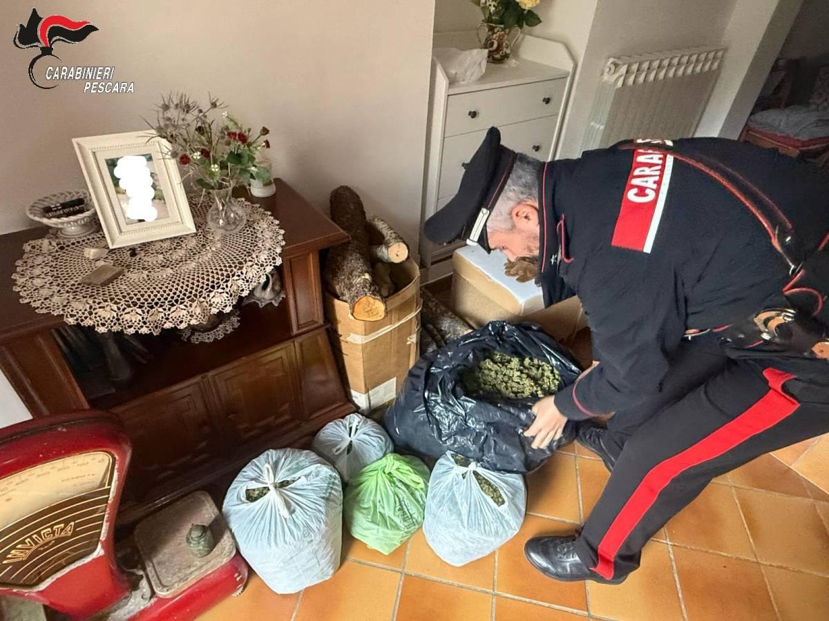 CORTINO: 20 CHILI DI MARIJUANA IN CASA, ARRESTATO PUSHER 56ENNE RESIDENTE A SPOLTORE