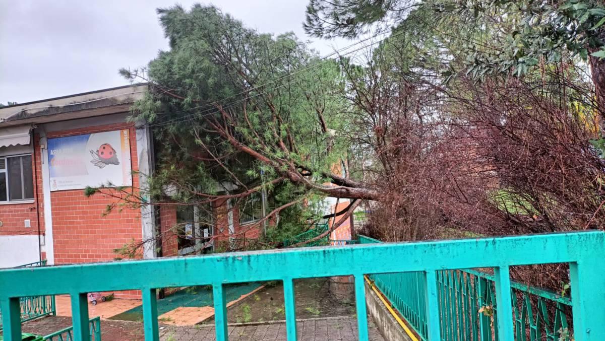 MALTEMPO, NEL TERAMANO ALBERI CADUTI E SOTTOPASSI ALLAGATI
