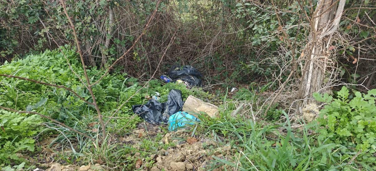 RISERVA BORSACCHIO: “AUMENTANO DISCARICHE ABUSIVE, DATI PREOCCUPANTI, SCARSA SORVEGLIANZA”