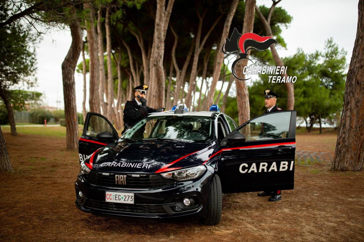 FURTO DI 43 GRONDAIE DI RAME A PINETO: I CARABINIERI HANNO DENUNCIATO UN UOMO DI 52 ANNI