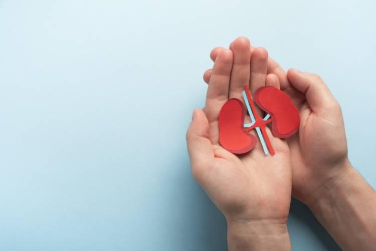 PREVENZIONE MALATTIE DEL RENE: IL 13 MARZO SCREENING DELLA ASL ALL’AQUILA