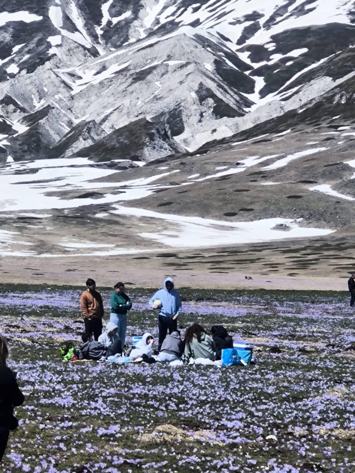 GRAN SASSO: TURISTI AL PASCOLO SU FIORITURA CROCUS, LEGA, “SERVONO REGOLE E CONTROLLI”