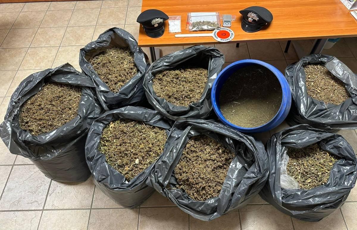 ARRESTATO A COLLECORVINO UN SORVEGLIATO SPECIALE: AVEVA IN CASA 87 CHILI DI MARIJUANA TRITURATA