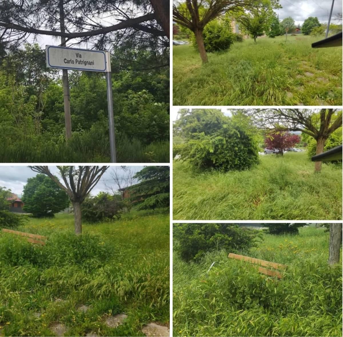 L’AQUILA: LA PROTESTA, “ERBA ALTA FINO A DUE METRI NEL PARCO DI VIA PATRIGNANI”