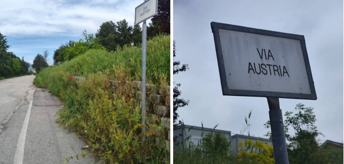L’AQUILA: LA PROTESTA, “MARCIAPIEDE DI VIA AUSTRIA INVASO DELLA VEGETAZIONE INCOLTA”
