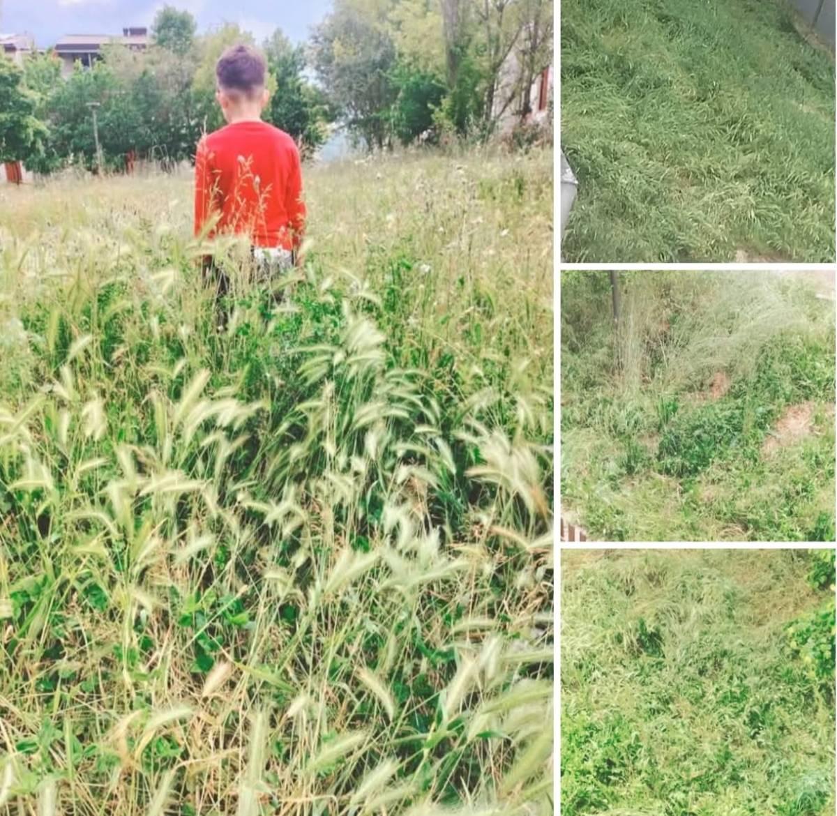 L’AQUILA: PROGETTO CASE SANT’ELIA, I RESIDENTI PROTESTANO PER L’ERBA ALTA E NE SOLLECITANO IL TAGLIO