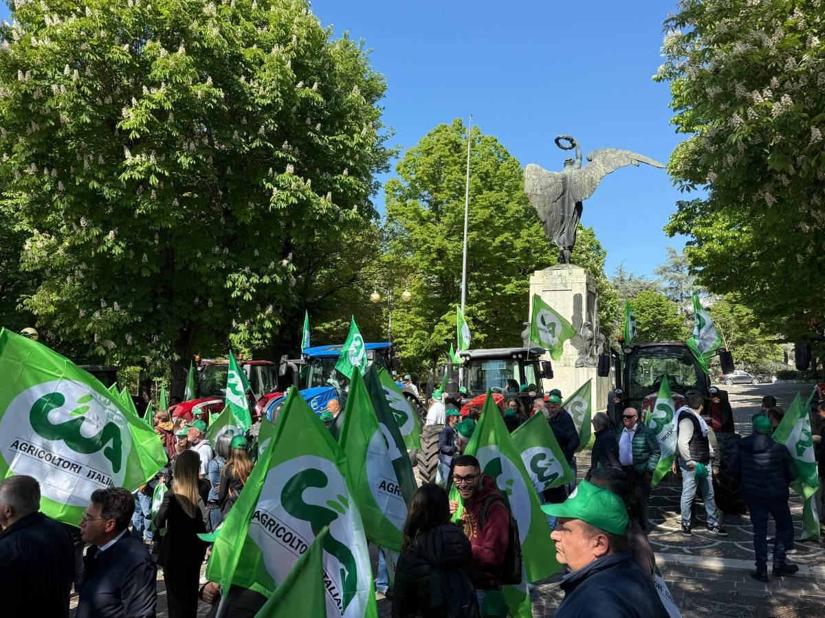 FAUNA SELVATICA: PD, “GIUSTA PROTESTA AGRICOLTORI, DOPO 6 ANNI DI CDX SITUAZIONE PEGGIORATA”