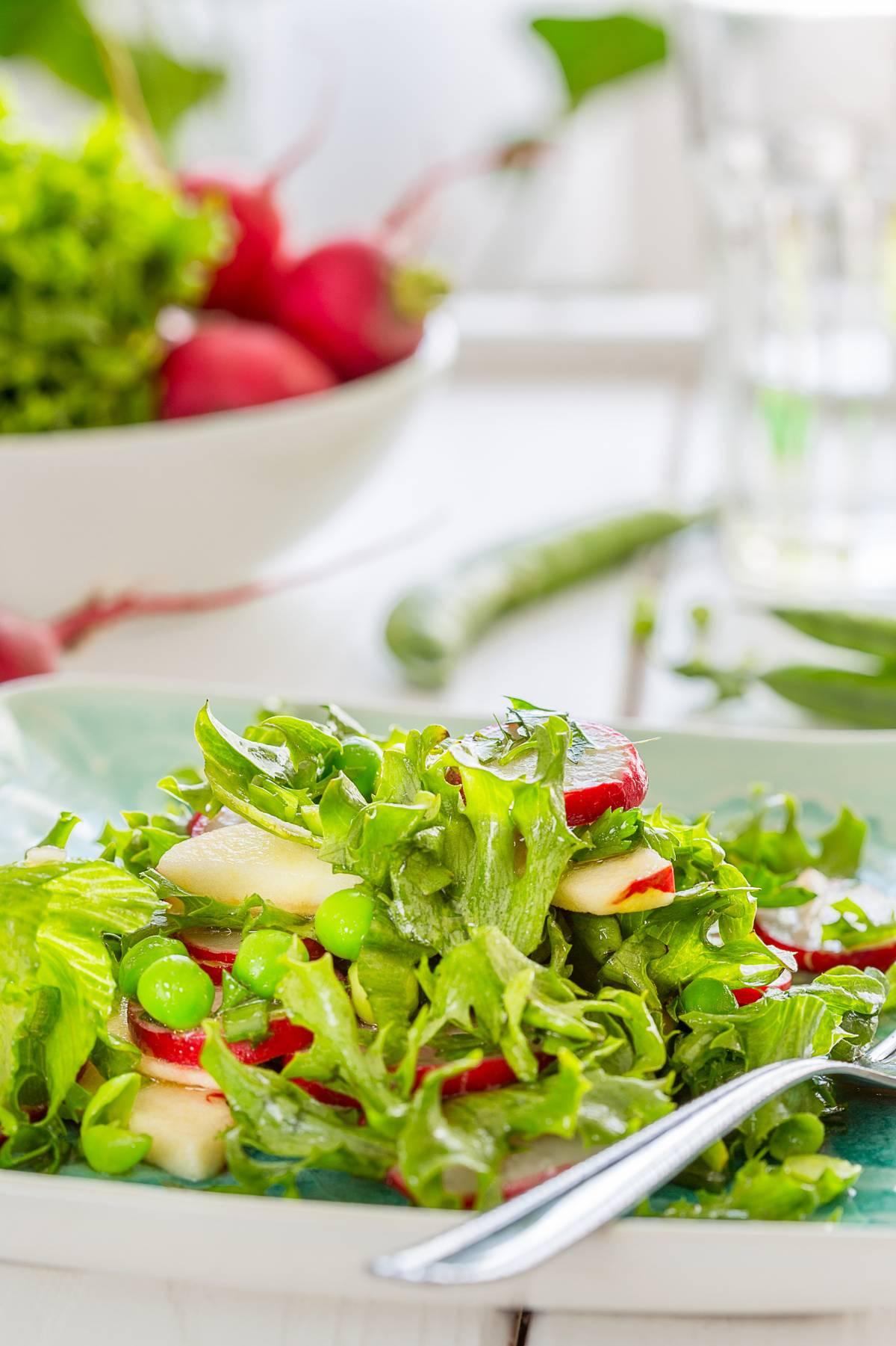 INSALATE FRESCHE, GENUINE E CROCCANTI PER UN PASTO VELOCE