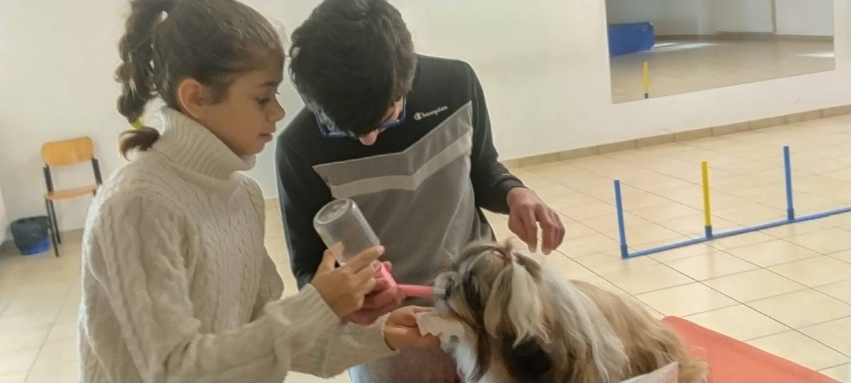 VASTO: ALL’ISTITUTO PAOLUCCI UN SUCCESSO IL PERCORSO DI PET TERAPY