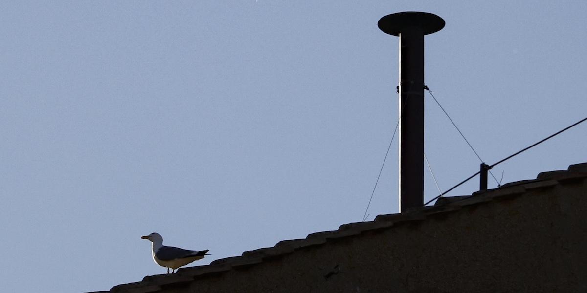 CONCLAVE: IL CARDINALE RE, “AUSPICO FUMATA BIANCA PER QUESTA SERA”