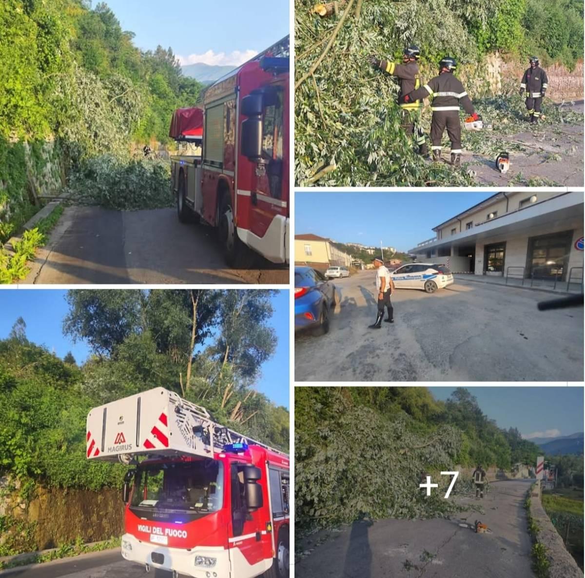 L’AQUILA: TAGLIATE DAI VIGILI DEL FUOCO MOLTE PIANTE PERICOLOSE IN ZONA STAZIONE FERROVIARIA