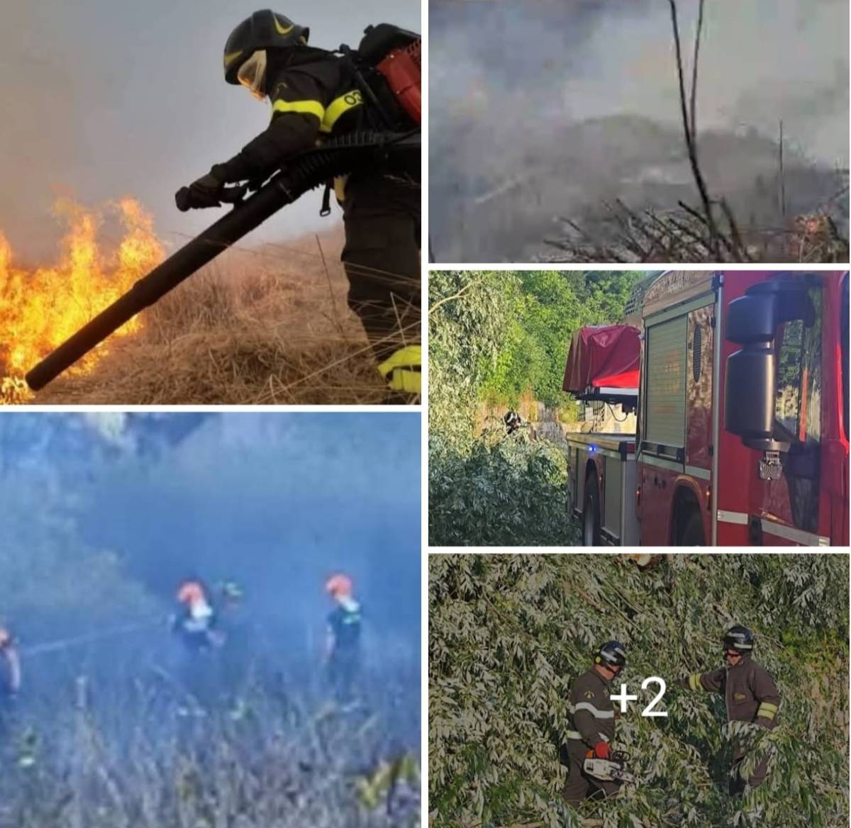 TAGLIATI ALCUNI ALBERI PERICOLANTI DAI VIGILI DEL FUOCO NELLA FRAZIONE AQUILANA DI TEMPERA