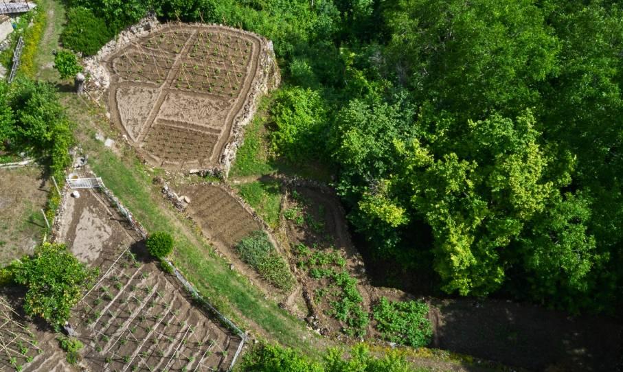 BIO CANTINA SOCIALE ORSOGNA: ‘PÈ NIN PERDE LA SUMENTE’ E INVECCHIAMENTO VINI GROTTE CAVALLONE