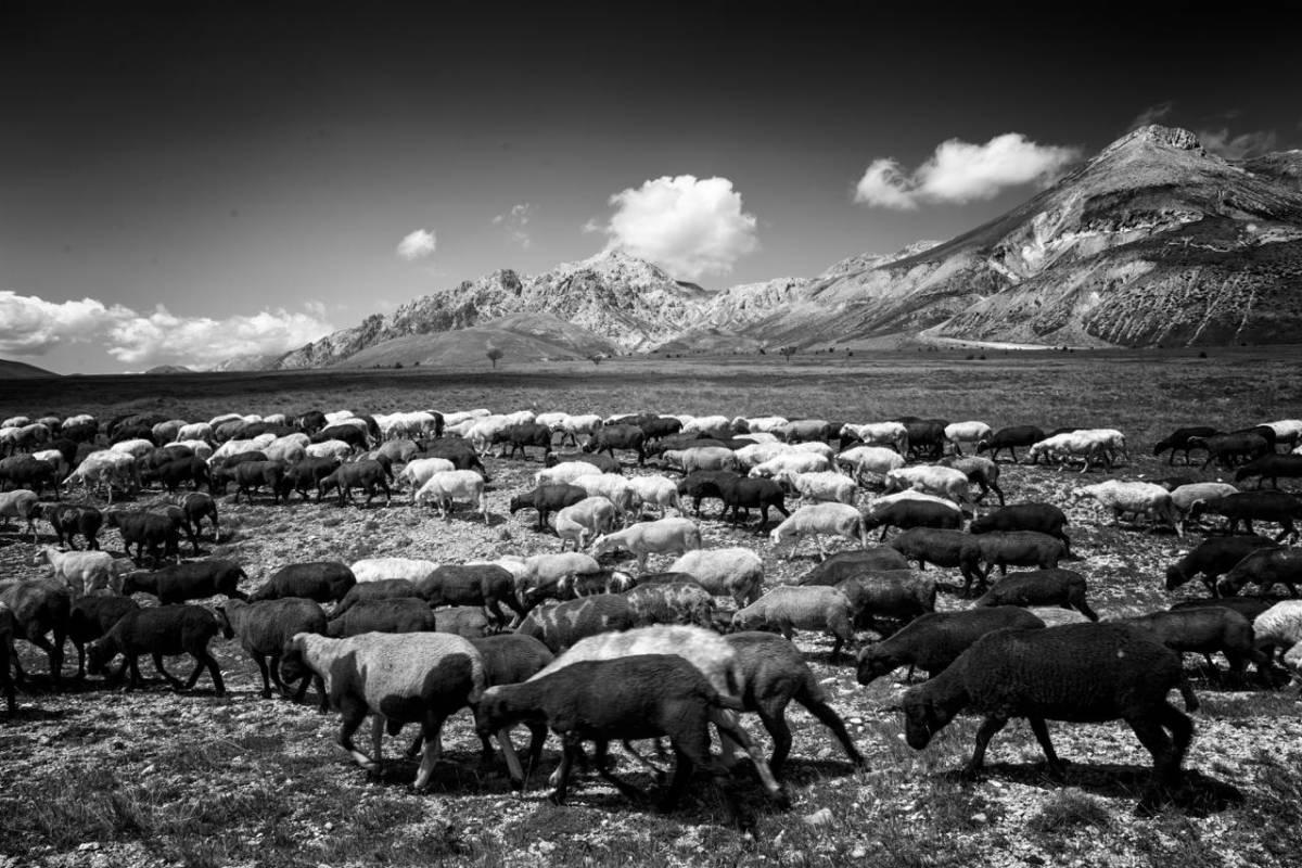 OMAGGIO ALLA TRANSUMANZA: LA MOSTRA AL MUSEO DELLE GENTI D’ABRUZZO