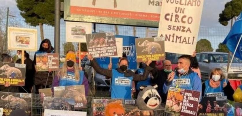 GIULIANOVA: “IL CIRCO SI’ MA SENZA GABBIE, NO SFRUTTAMENTO ANIMALI”, PROTESTA ASSOCIAZIONI