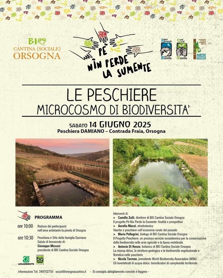 BIO CANTINA SOCIALE ORSOGNA: PRESENTAZIONE DEL PROGETTO “PESCHIERE, MICROCOSMO DELLA BIODIVERSITA'”