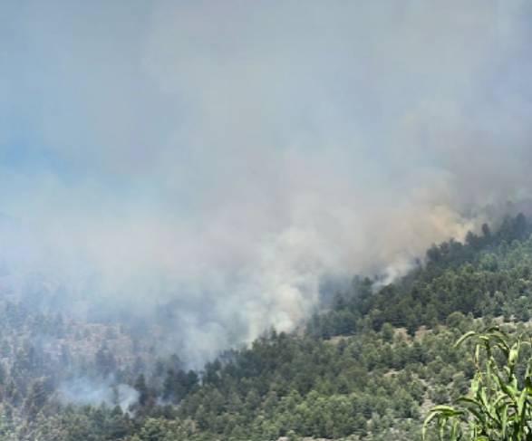 INCENDIO TRA RAIANO E VITTORITO: IN FUMO 200 ETTARI DI BOSCO, DENUNCIATO 60ENNE