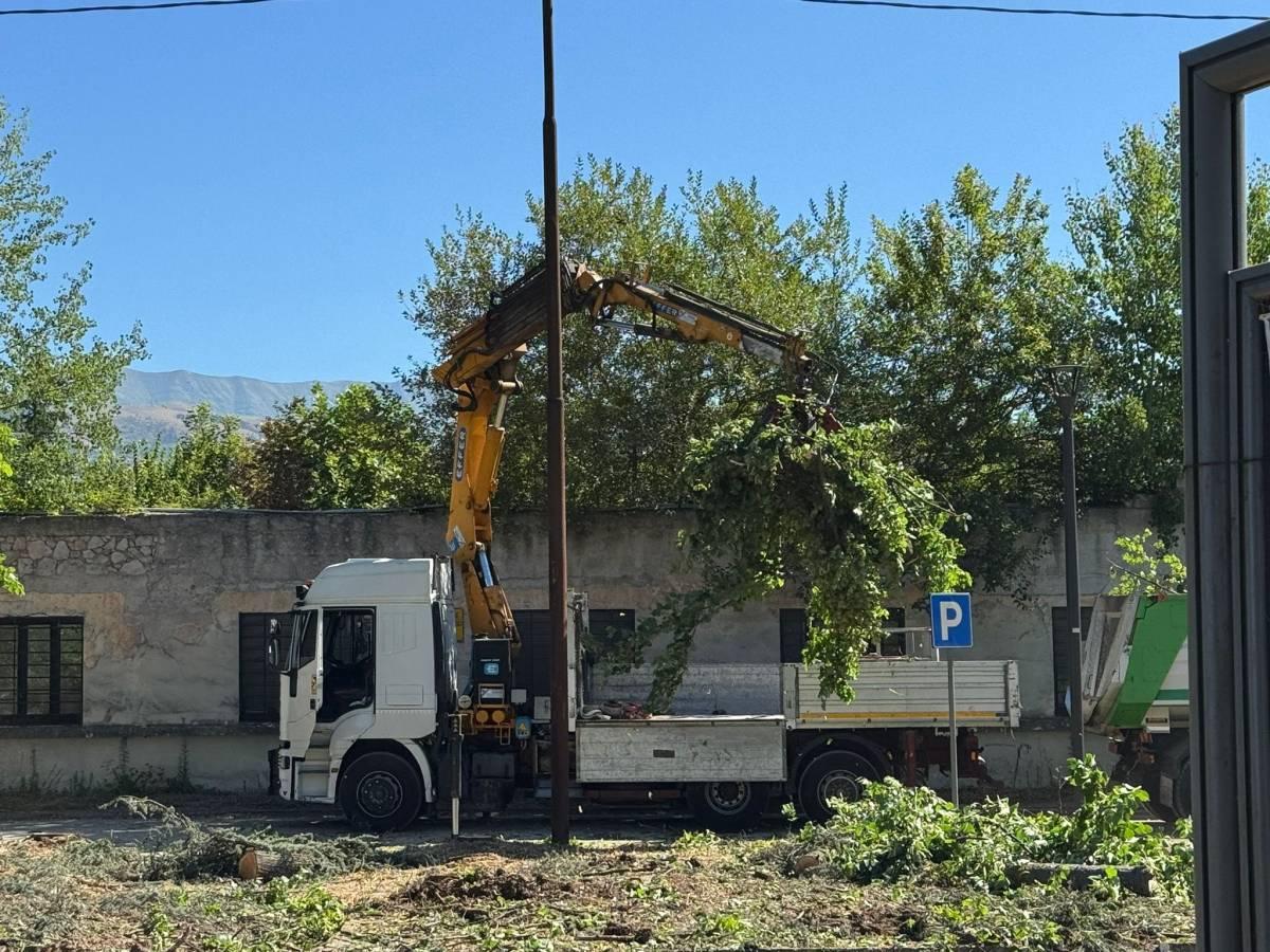 L’AQUILA: PARCO POLSINELLI, AVS, “TAGLIO SENZA AUTORIZZAZIONE, BIONDI E DE SANTIS RESPONSABILI”