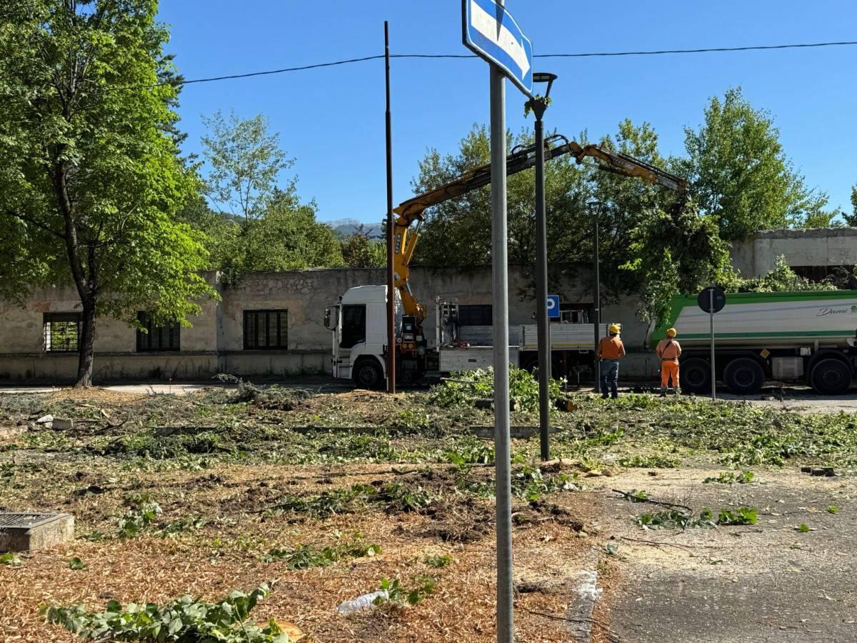 L’AQUILA: PARCO POLSINELLI, ABBATTUTI ALTRI ALBERI, MOTOSEGHE IN AZIONE ALL’ALBA