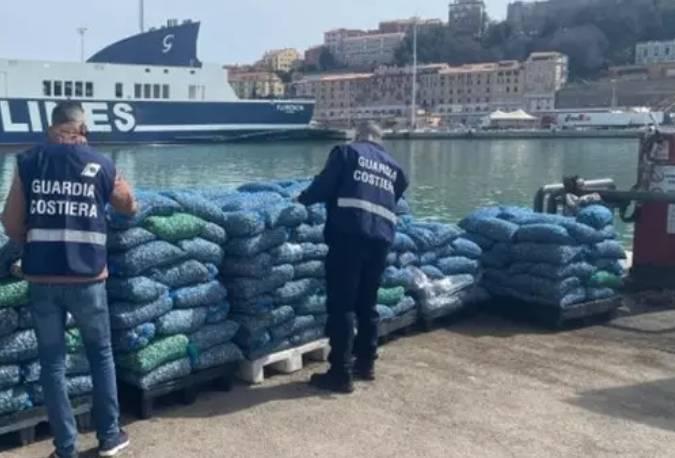 PESCA ILLEGALE DI VONGOLE: SGOMINATA ORGANIZZAZIONE IN ABRUZZO