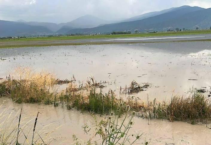 GRANDINE: COLDIRETTI CHIEDE STATO DI CALAMITA’ “NEL FUCINO RACCOLTI DISTRUTTI”