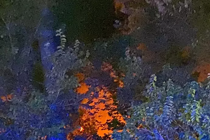 INCENDIO NELLA PINETA DANNUNZIANA DI PESCARA:<BR>IL ROGO DOMATO NELLA NOTTE