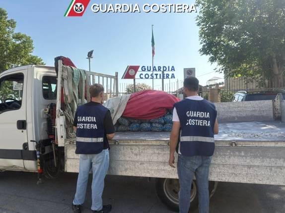 PESCA ILLEGALE NEL LITORALE DI SILVI: GUARDIA COSTIERA SEQUESTRA QUINTALI DI VONGOLE