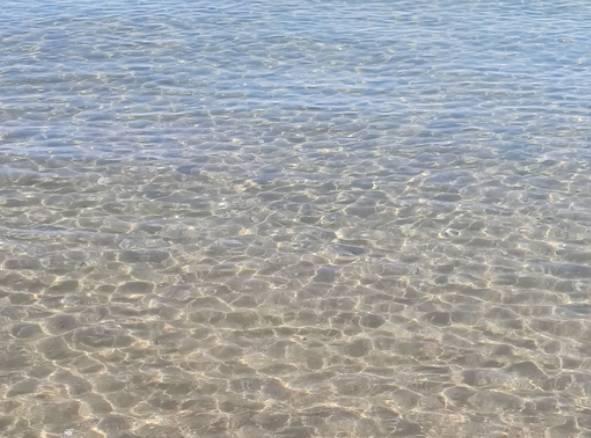 BALNEAZIONE: ARPA, “A TORTORETO ACQUE ECCELLENTI DA 16 ANNI”