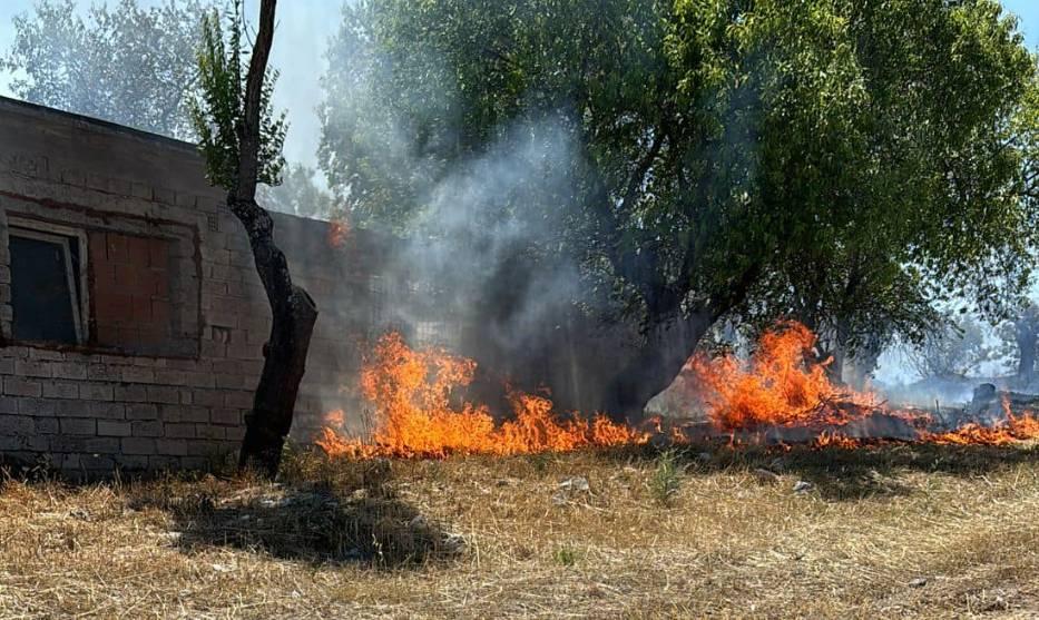 VASTO INCENDIO A CAPESTRANO: VIGILI DEL FUOCO IN AZIONE