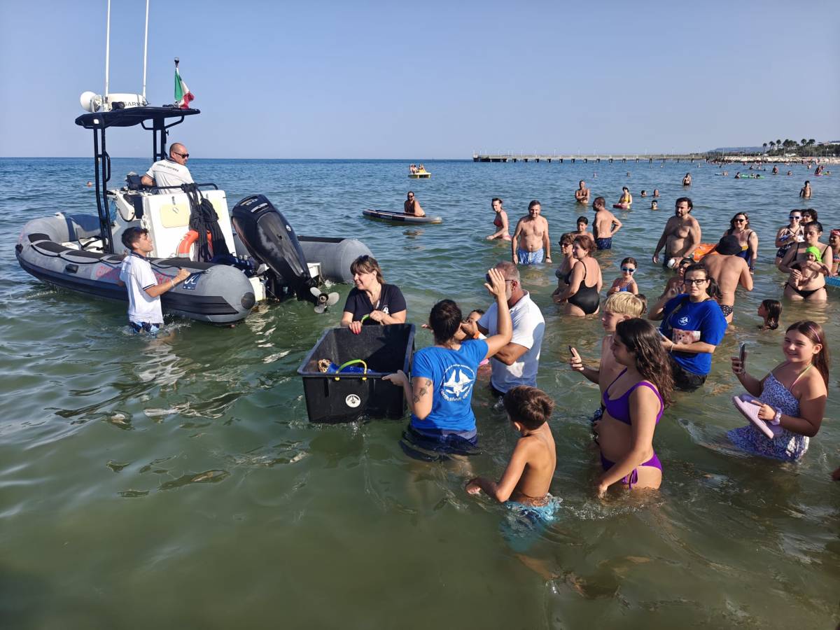RISERVA DEL BORSACCHIO: IN CENTINAIA AD ASSISTERE RITORNO IN MARE DELLA TARTARUGA SPRING