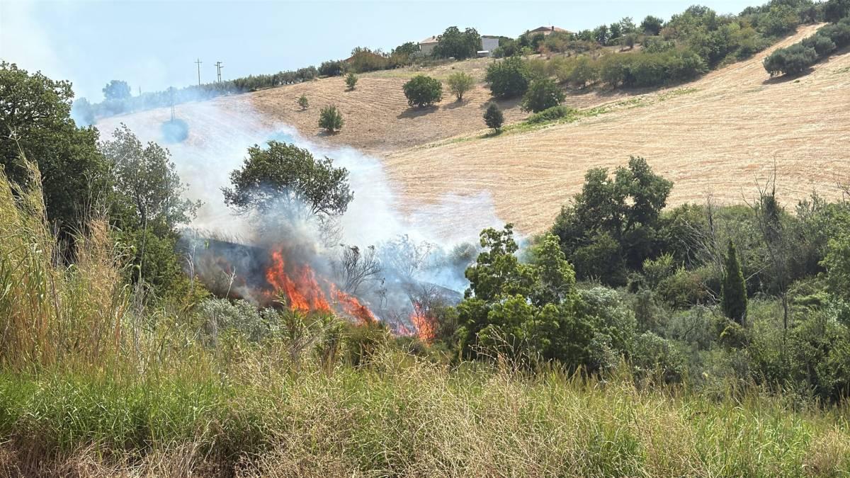 INCENDI: PIOGGIA OFFRE TREGUA, FIAMME SOLO IN BOSCAGLIA TRA VASTO E SAN SALVO