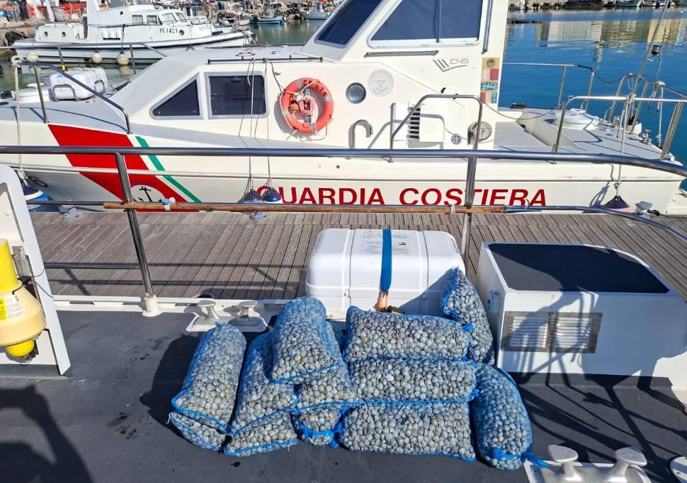 ORTONA: GUARDIA COSTIERA SEQUESTRA 170 CHILI DI VONGOLE PESCATE ILLECITAMENTE