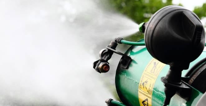 WEST NILE: A PESCARA “SITUAZIONE SOTTO CONTROLLO”, INTERVENTI DI DISINFESTAZIONE POTENZIATI