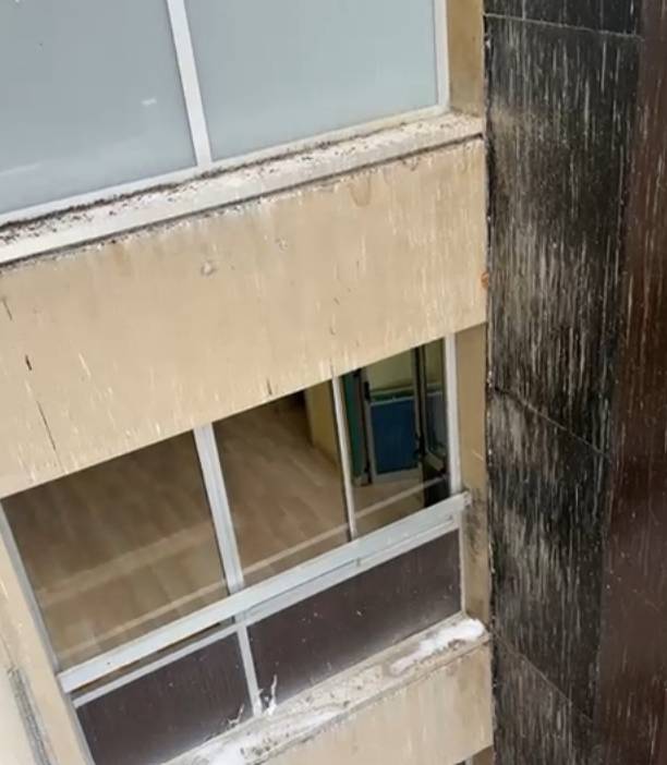 OSPEDALI TERAMO E GIULIANOVA: UN PIANO PER ALLONTANARE I PICCIONI
