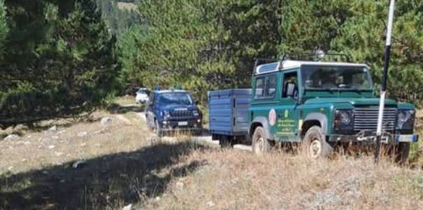 TROVATA CARCASSA DI ORSO A COCULLO, MORTO DA OLTRE DUE MESI