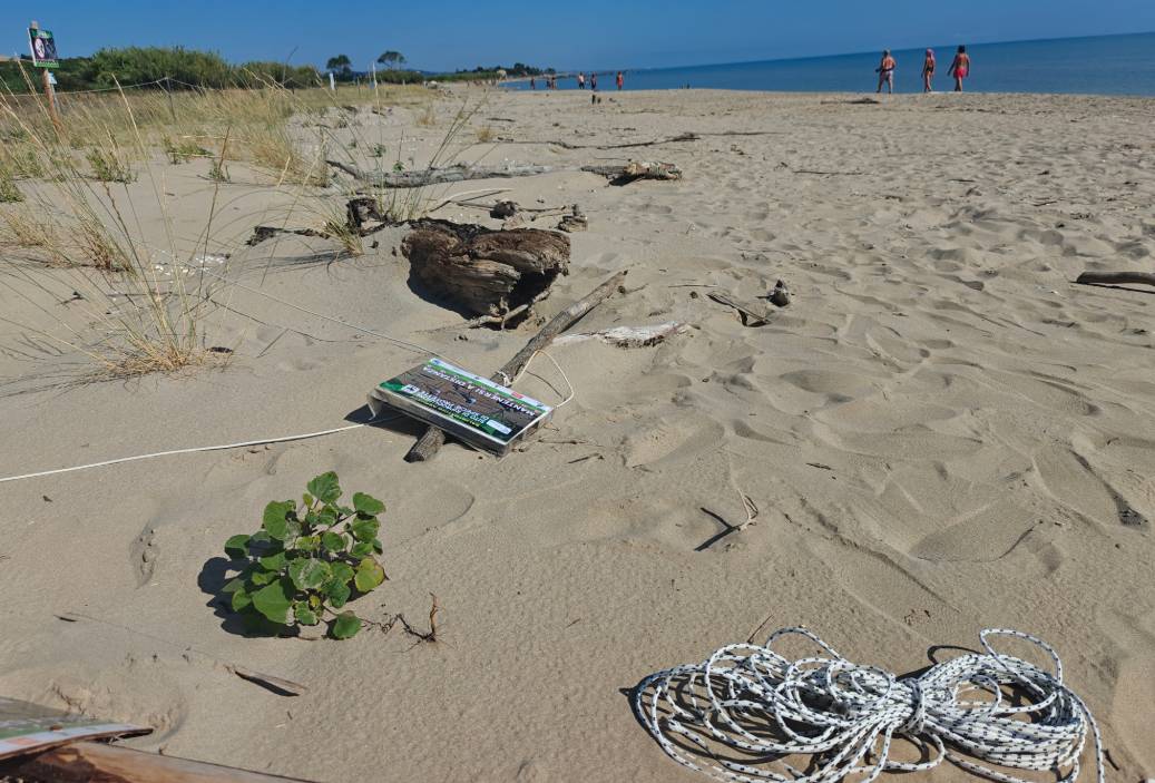 RISERVA DEL BORSACCHIO: “TORNANO I VANDALI, DISTRUTTO PROGETTO PER IL FRATINO E LE DUNE”