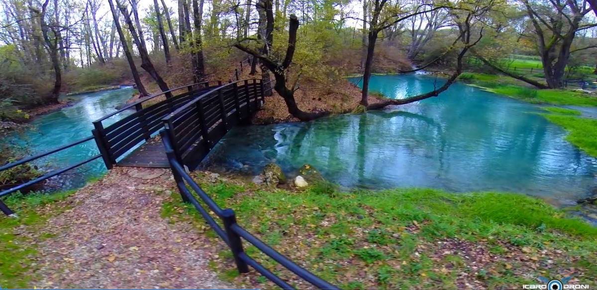 SCAFA: CADE RAMO DA ALBERO E TRAVOLGE DUE BAMBINI, TRAGEDIA SFIORATA NEL PARCO LAVINO