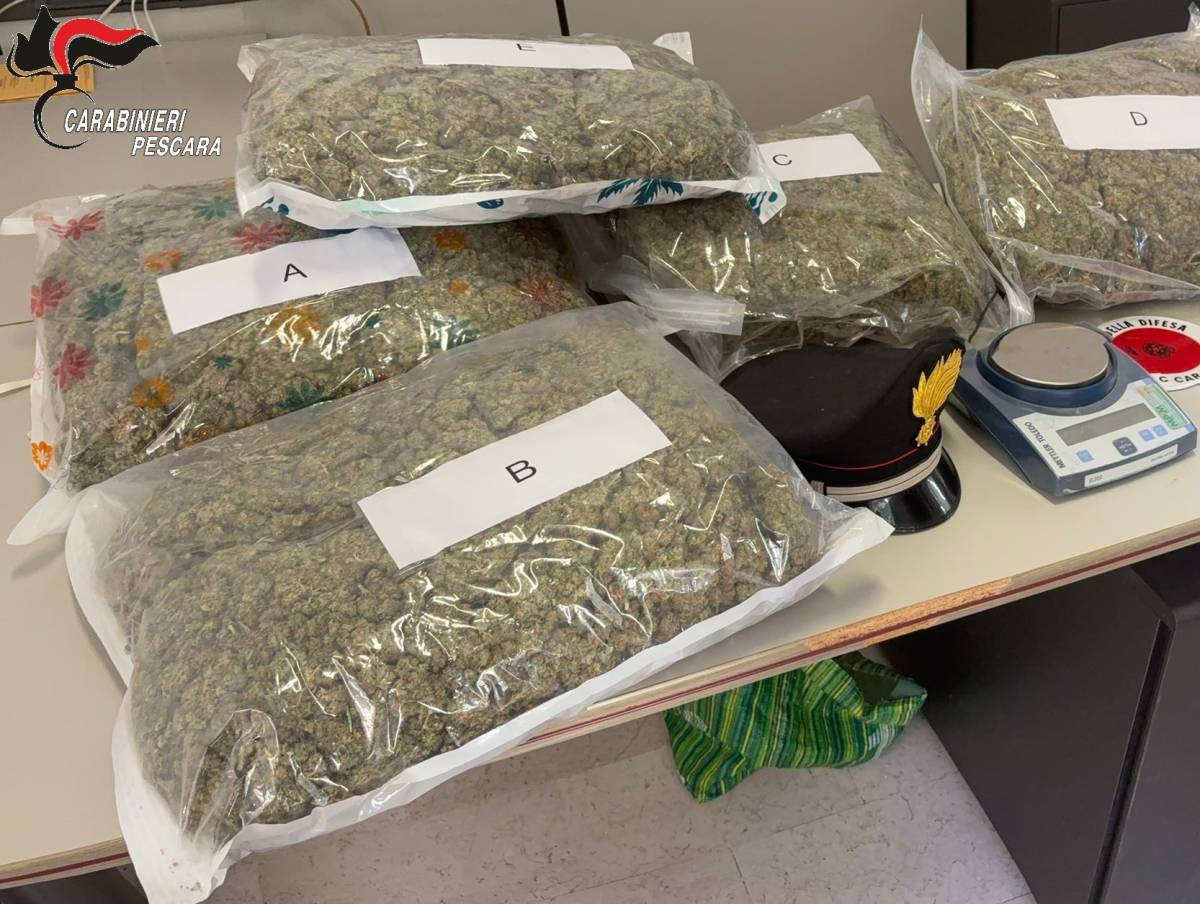PESCARA: DIECI CHILI DI MARIJUANA TROVATI IN UN APPARTAMENTO, ARRESTATO UN 44ENNE